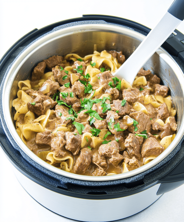 Instant Pot Beef Stroganoff Recipe